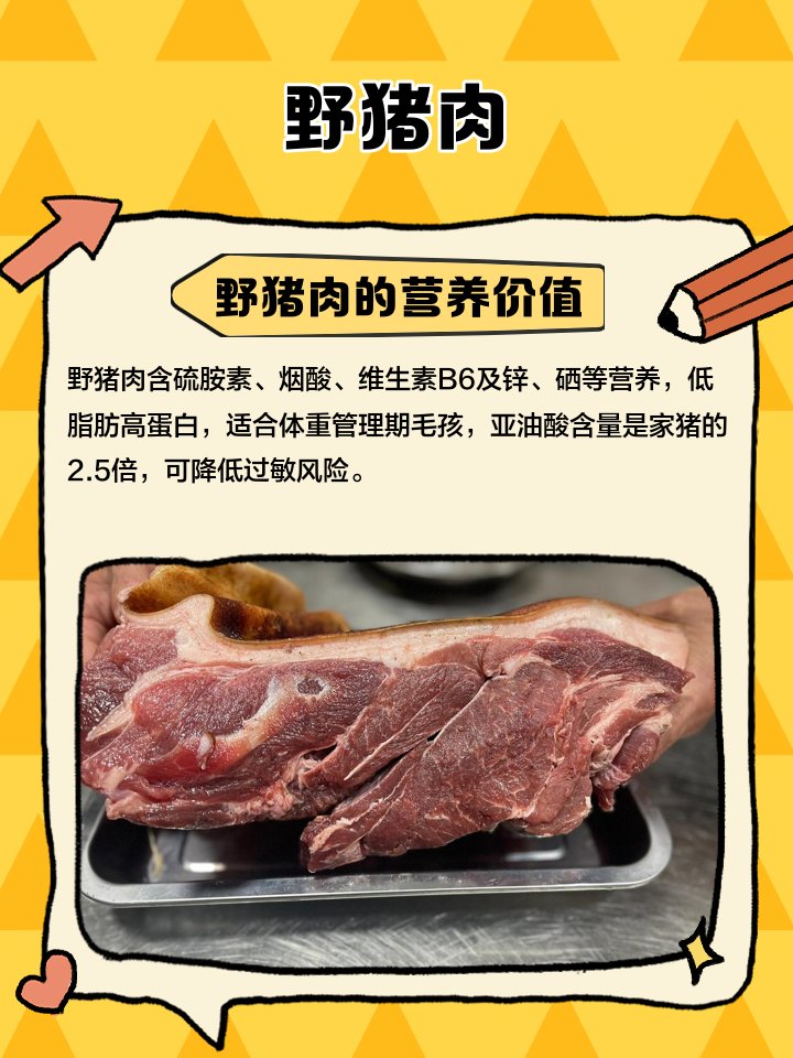 野猪肉怎么做好吃大全