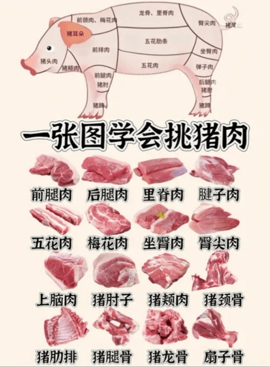 猪后腿肉怎么做好吃
