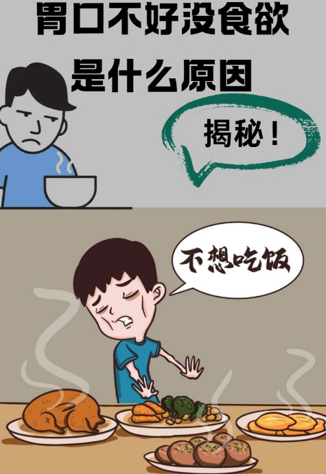 胃口不好吃什么