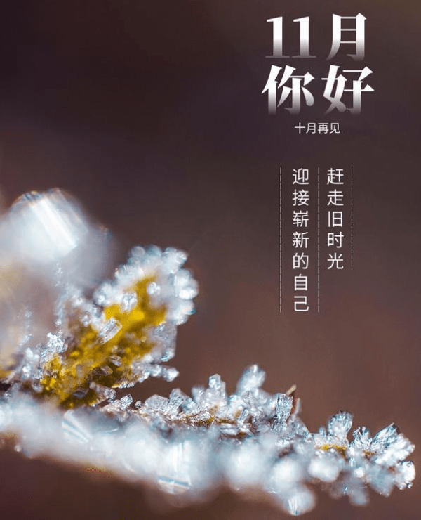 阳历11月中部地区吃什么好